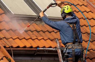 Démoussage et hydrofuge de toiture à Upie